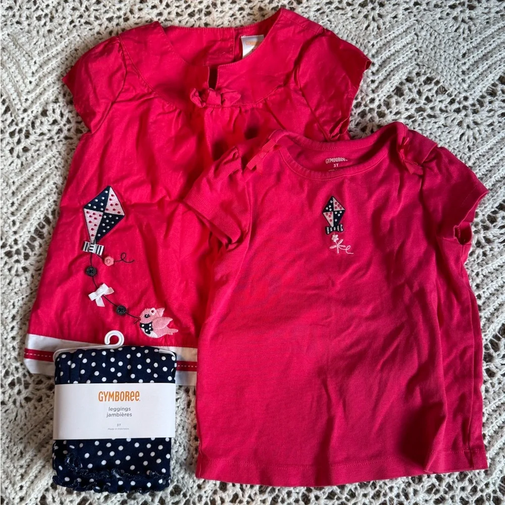 Vintage Gymboree 3 Piece Set Pink Kids 3T Shirt & Top Set NWT Tights embroidery